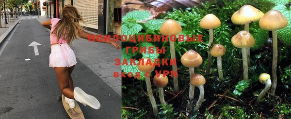 винт Армянск
