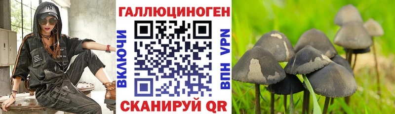 Псилоцибиновые грибы ЛСД Калининск